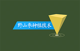 参仙源