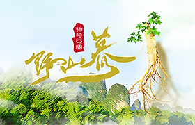 野山参