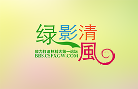 绿影清风论坛
